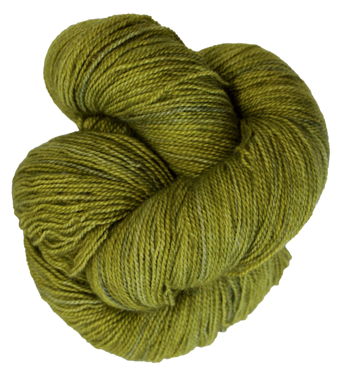 Flying Lace - Grasshopper