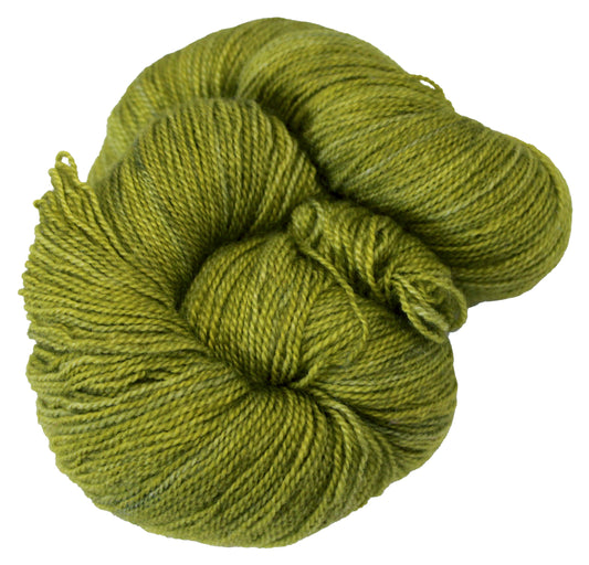 Flying Lace - Grasshopper